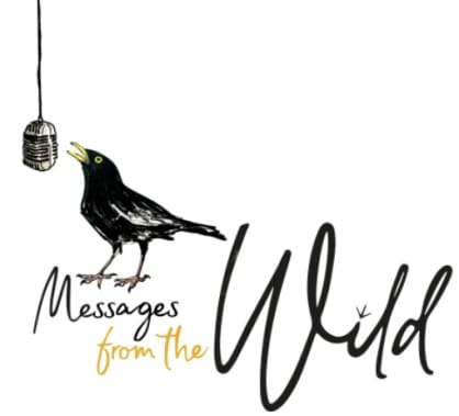 Give Nature a Voice.