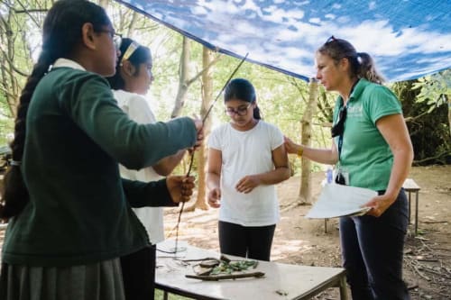 Nature Based Activities