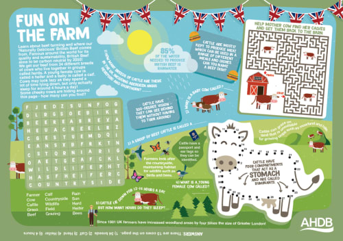 Fun on the farm - beef farming