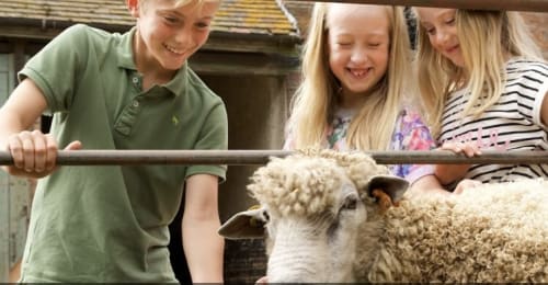 Create your Cape Competition