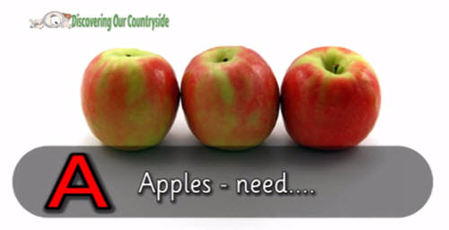 ABC of STEM in Food Production