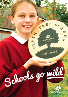 Green Tree Schools Award