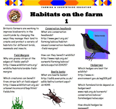Habitats on the farm 1