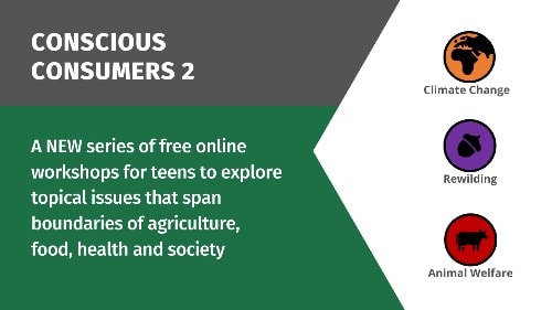 The Conscious Consumer Project - Part 2