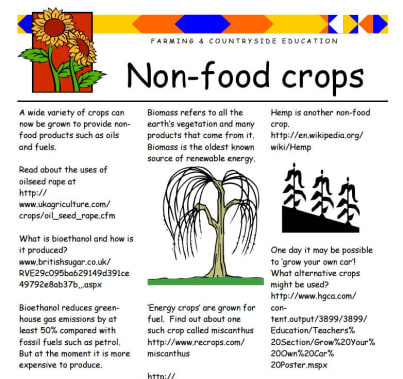 Non-food crops