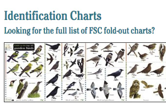 Wildlife Identification Charts
