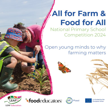 Activity 3 - Super Soils