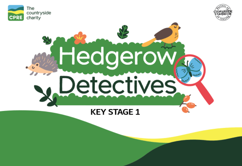 Be a Hedgerow Detective for KS1