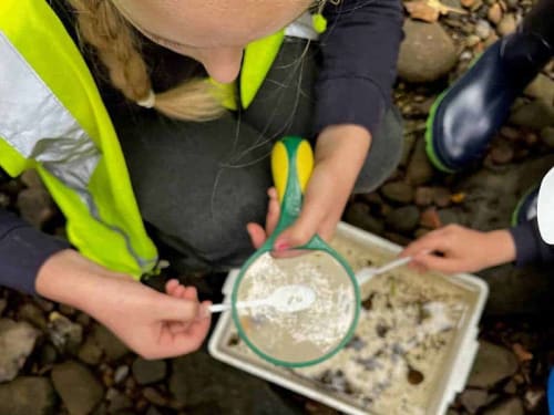 Rivers: Scheme of work - Key Stage 2