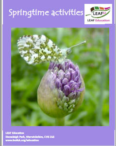 Springtime activities