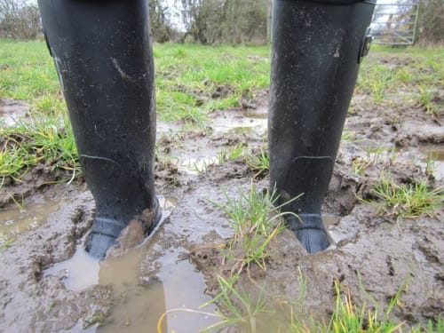 Assessing Soil Health and Soil Biological Activity