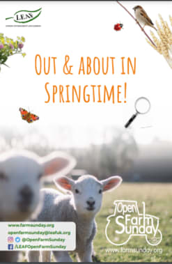 Out and About in Springtime