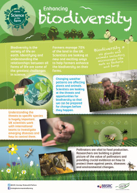 BBSRC Science on the Farm poster - BIODIVERSITY
