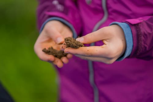 Practical Farm Resources for Secondary Learners
