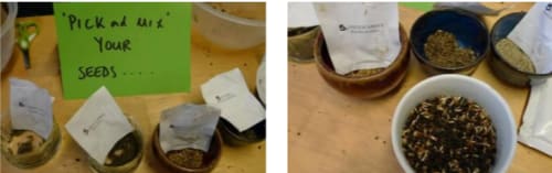 Let Nature Feed Your Senses: Seed bombs