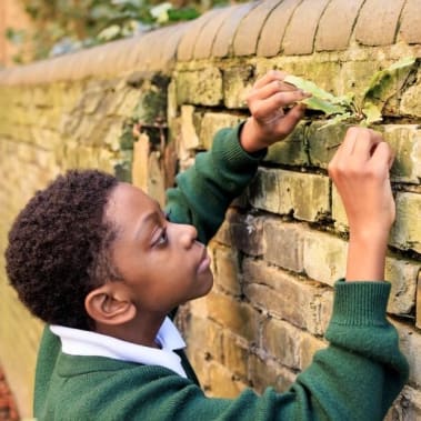 Wellbeing Through Plants & Animals