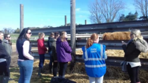 Teacher Training - Farm Visits Online Workshop