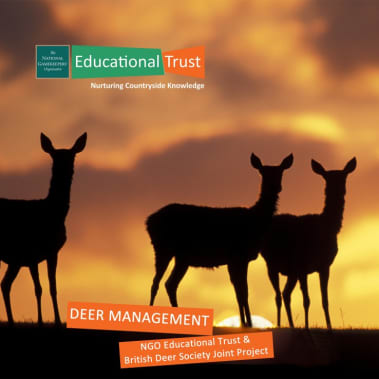 Countryside Conservation - Deer Management