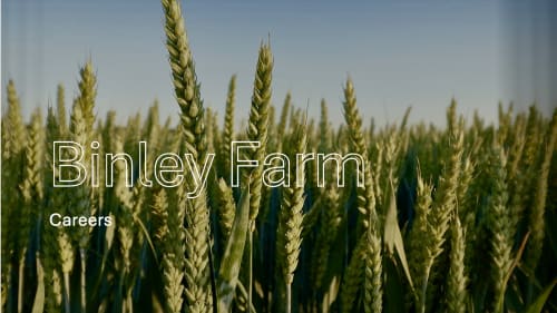 Careers at Binley Farm