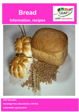 Bread - information, recipes and resources - home educator version