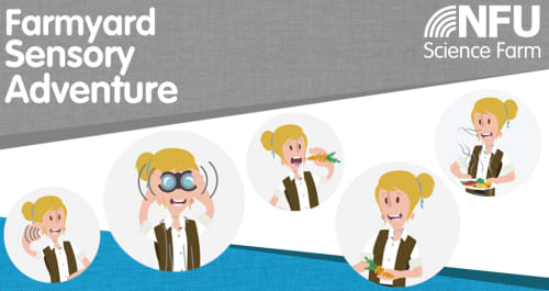 Farmyard Sensory Trail