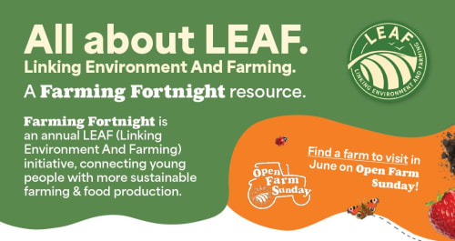 Sustainable Farming - About LEAF