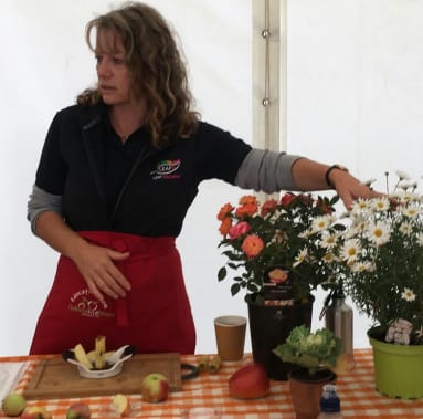 Working Scientifically - Why do apples go brown?