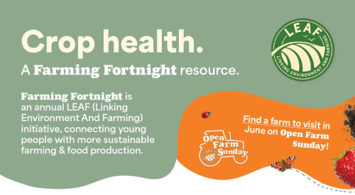 Crop Health - Sustainable Farming