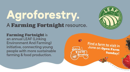Agroforestry - Sustainable Farming
