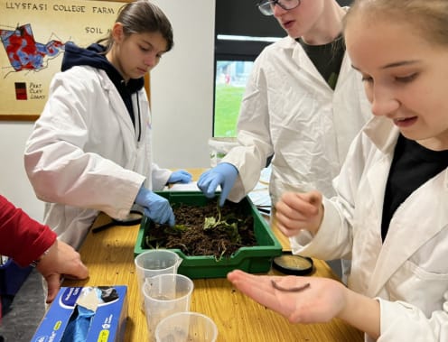 Is Soil the Key to Sustainable Food Production?