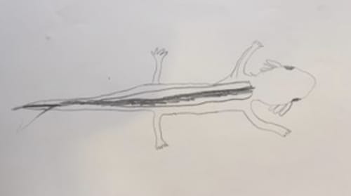 Interview with a Sand Lizard