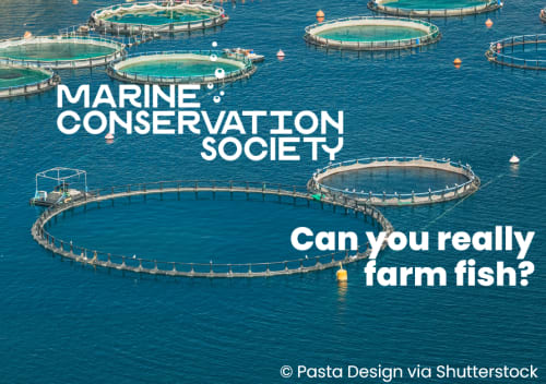 Can you really farm fish?