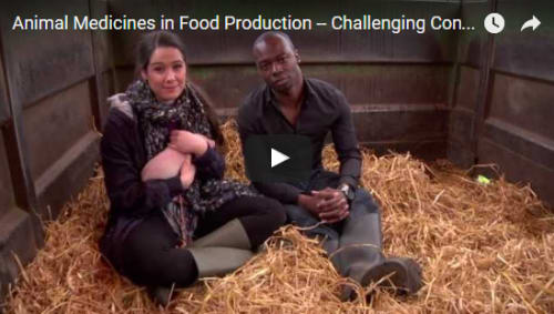 Animal Medicines in Food production -Challenging Consumer Myths