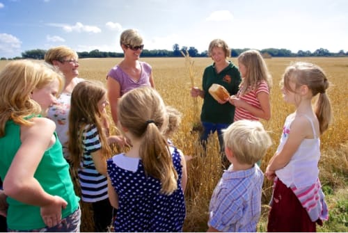 Helping Everyone Eat Better