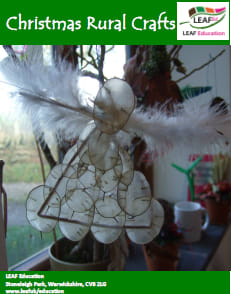 Christmas Rural Crafts