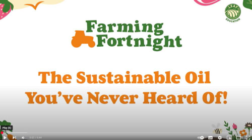 Farming Fortnight - The sustainable oil you've never heard of!