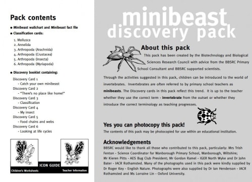 Minibeast discovery pack