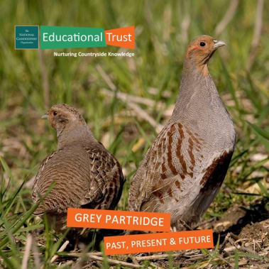 Countryside Conservation: Grey Partridge - Past, Present and Future