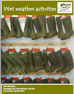 Wet weather activities