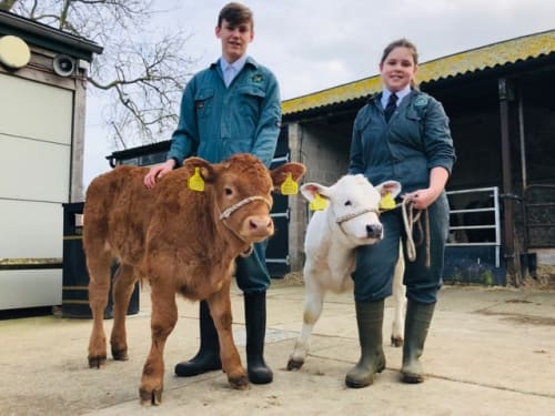 HOW TO: Start a school farm