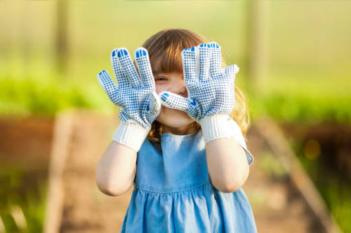 HOME EDUCATION HUB - CULTIVATING & PROPAGATING