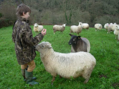 Maths + Farm = Learning
