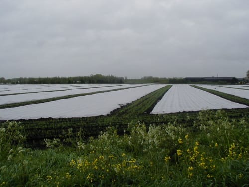Plastics in the horticulture industry - lesson 2