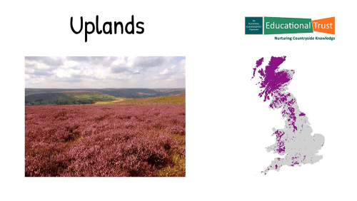 Conservation Fact Files 3 - Habitats - Uplands