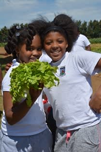 Celebrate harvest