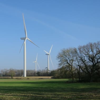 CASE STUDY: Renewable energy on the farm