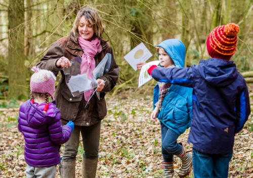 NEWS: Congratulations to Teaching Trees