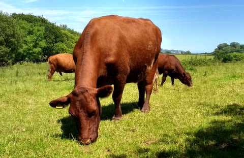 Discover organic farming and wildlife