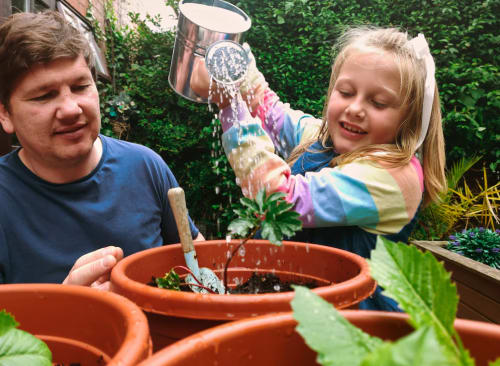 GREEN FINGERS