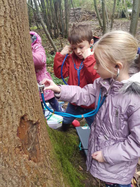 CASE STUDY: Future foresters?